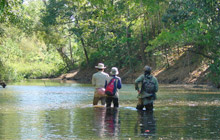 Phnom Prich Sanctuary